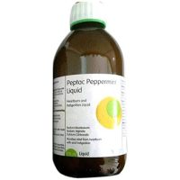 Peptac Peppermint Flavour Antacid