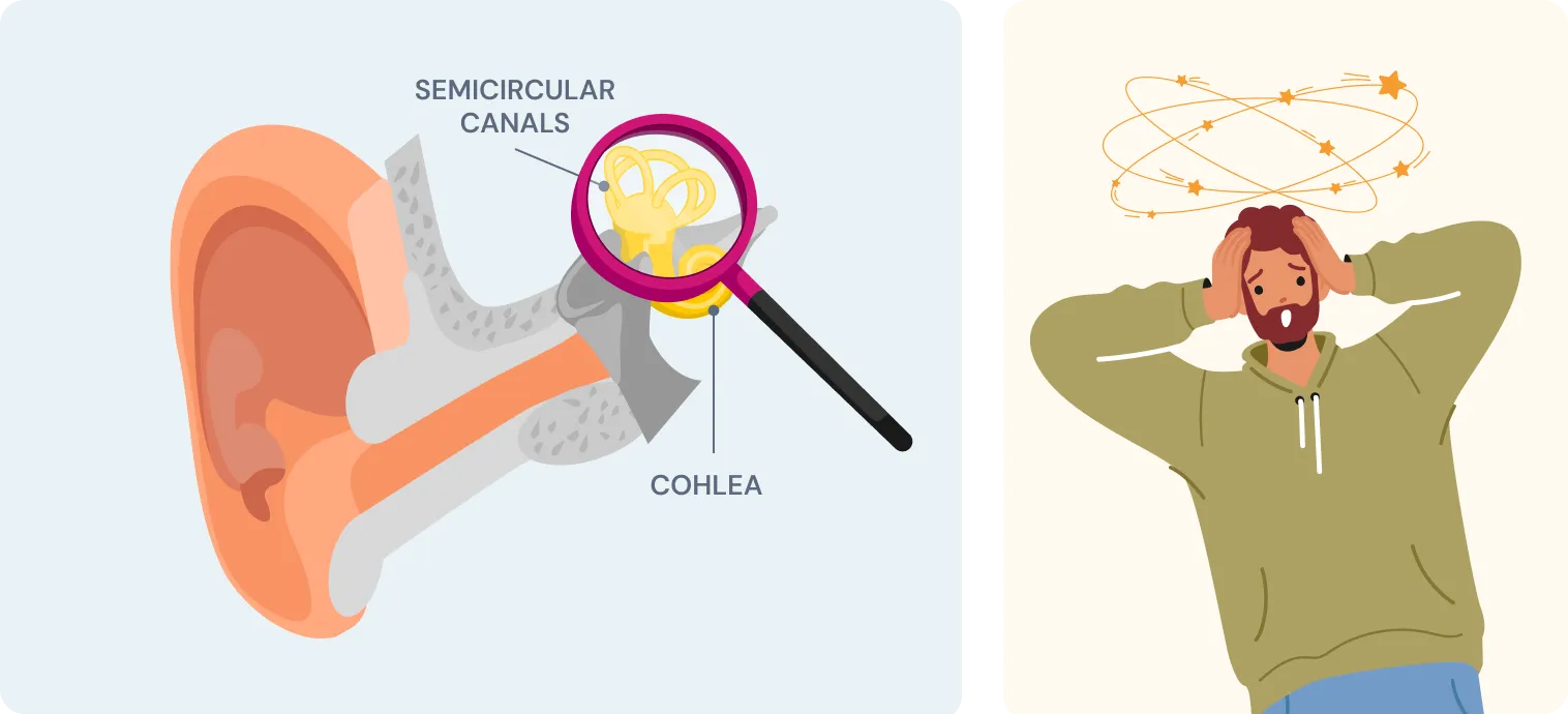plit Graphic: Left – Inner ear diagram or spinning visual effect. Right – Person struggling with balance or holding their head from vertigo